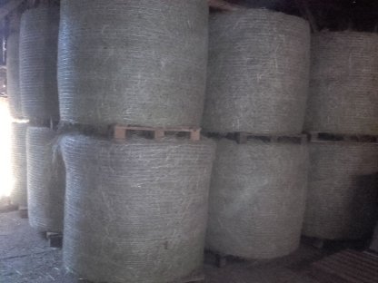 Wiesenheu 1. Schnitt 2020