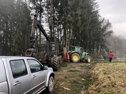 Bild 4:Biete Holzschlägerungen jeglicher Art