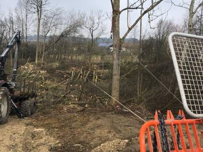 Bild 2:Biete Holzschlägerungen jeglicher Art