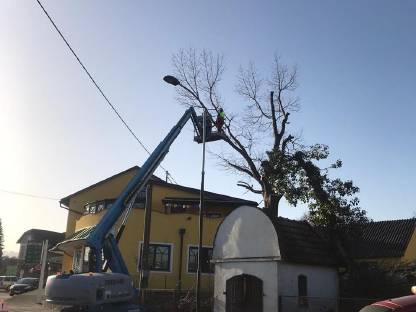 Bild 3:Biete Holzschlägerungen jeglicher Art