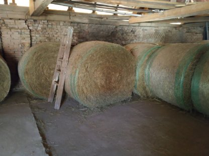 30 Stk. Heurundballen Pferdeheu