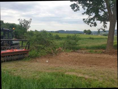 Bild 2:Forstmulcher