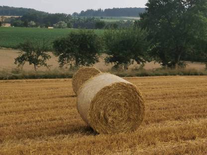 Bild 2:Bieten Heu und Stroh pressen in Rundballen und HD Ballen