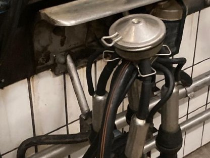 Bild 5:DeLaval Melkstand Maestro Fischgrät 2 x 4