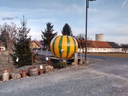 Bild 3:Kürbis;Riesenkürbis,