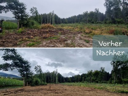 Bild 8:Forstmulchen Rodungsarbeiten Trassenfreihaltung