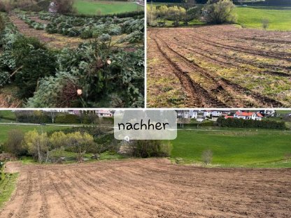 Bild 5:Forstmulchen Rodungsarbeiten Trassenfreihaltung