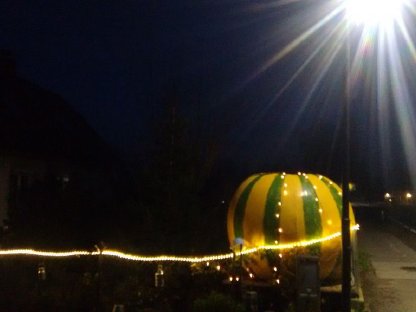 Bild 4:Kürbis;Riesenkürbis,