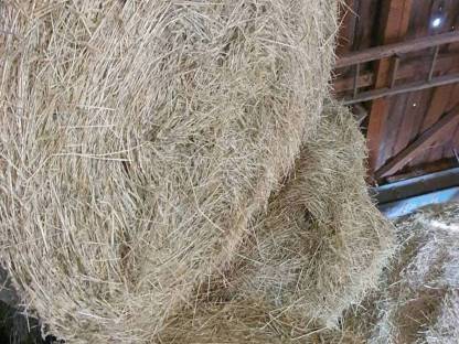 Heu/Silo Rundballen