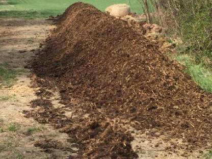 Bild 2:Kompost wenden, Humus