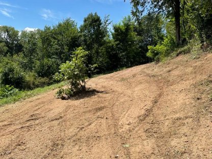 Bild 3:Mulchen / fräsen in Forst u. Grünland, Landschaftspflege
