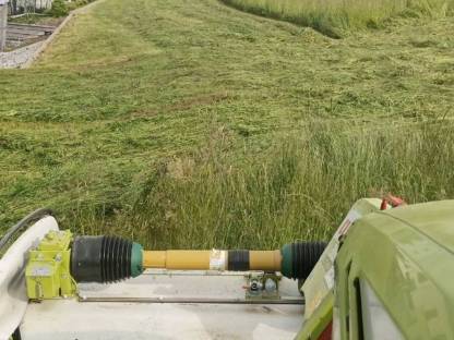 Bild 2:Wir bieten Mäharbeiten an