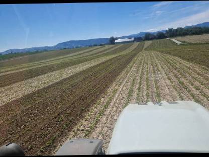 Bild 5:12 reihig Hacken 45cm Reihenabstand