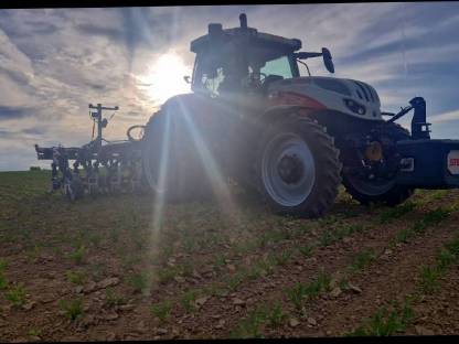 Bild 3:12 reihig Hacken 45cm Reihenabstand