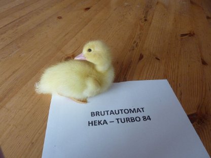 Brutautomat HEKA-Turbo 84