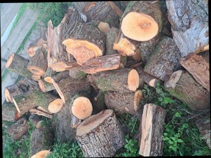 Birnbaum Holz