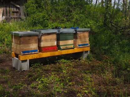 Bild 5:Waldviertler Honig