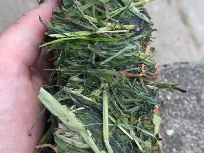 Bild 2:Lohnsilieren, Ladewagen Transport, Silierladewagen,Krone 6XL