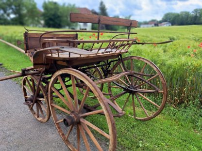 Bild 4:Pferdekutsche