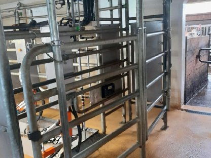 Bild 5:Happel Robotex 7er Autotandem Melkstand