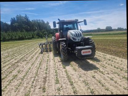 Bild 4:12 reihig Hacken 45cm Reihenabstand