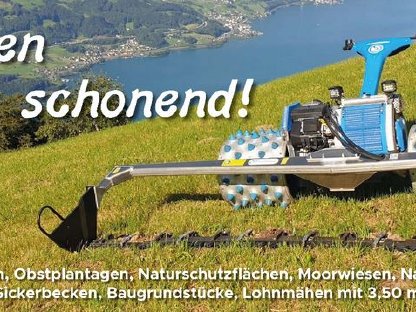 Bild 4:Böschungsmähen Mulch