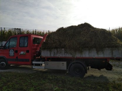 Bild 6:Böschungsmähen Mulch