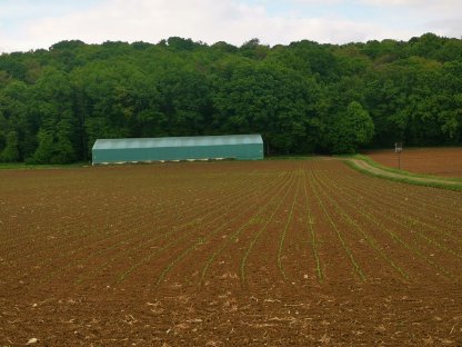 Bild 8:Lagerhalle 600 m² zur Vermietung