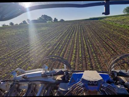 Bild 6:12 reihig Hacken 45cm Reihenabstand