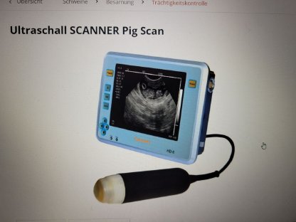 Pig Scanner Ultraschall zur Trächtigkeitsbestimmung