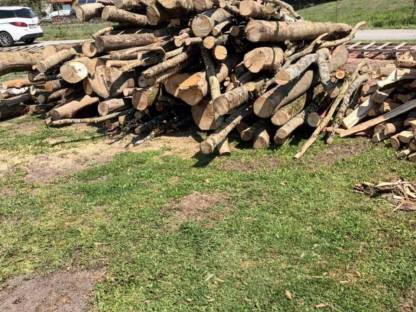 Brennholz, Holzschlägerung, Durchforstungrn