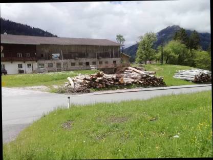 Buchenholz im Bezirk Kufstein