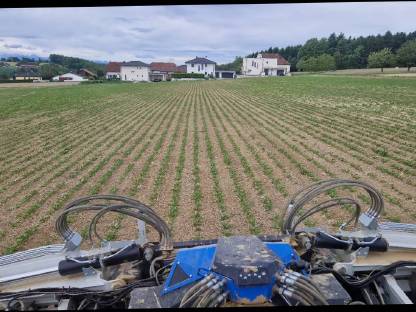 Bild 2:12 reihig Hacken 45cm Reihenabstand