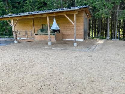 Bild 2:Fohlen-Aufzucht-Platz für 2 Hengste ab sofort