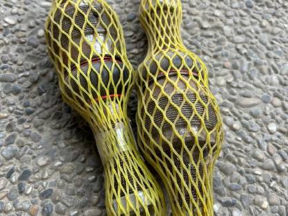 Bild 2:Axialgelenke für Vorderachse Steyr