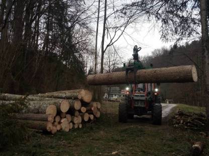 Bild 3:Forstdienstleistungen