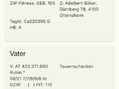 Bild 4:Tauernscheckenbock