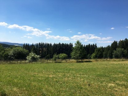 Bild 5:Stallgebäude in absoluter Alleinlage