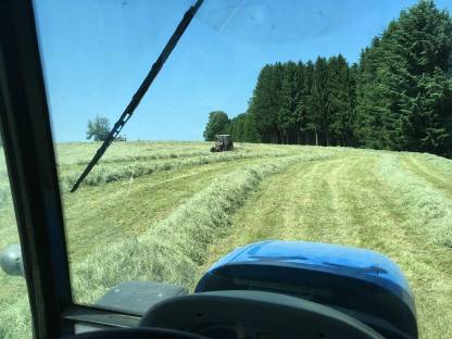 41 Stk. Heuballen, 9 Stk. Grummetballen