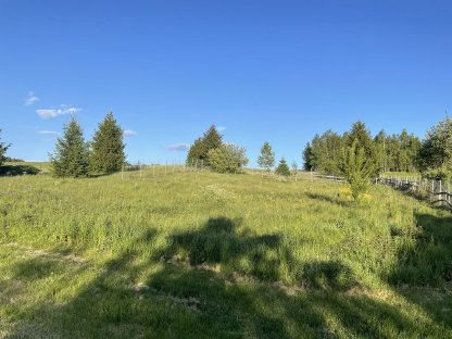 Bild 4:Stallgebäude in absoluter Alleinlage