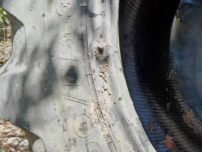 Bild 3:Forstreifen Nokian TRS-L 2 700/55-34