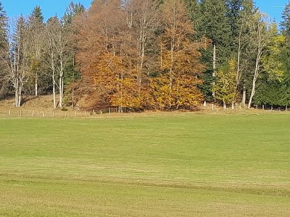 13 ha Wald und Wiesen arrondiert