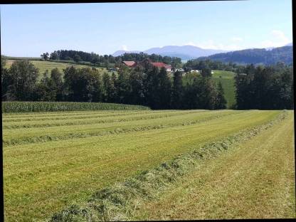 Bild 4:Gras- und Maissilage