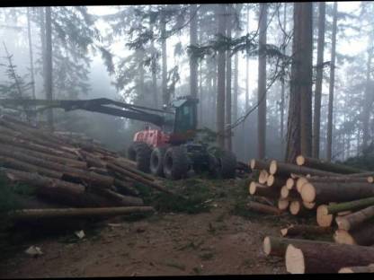 Bild 4:Valmet Harvester 360.2 Aggregat