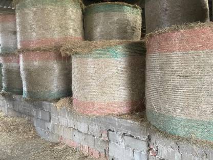 Bild 2:Heu-Rundballen 1. und 2. Schnitt 2024