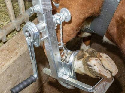 Bild 3:Klauenpflegestand Speed Fix neues Modell