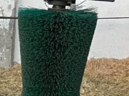 Verkaufe Viehbürste Agricow