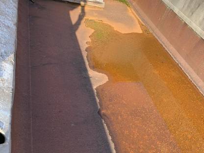 Bild 8:Kipper Kippauflieger Schwarzmüller