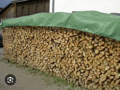 Brennholz Fichte