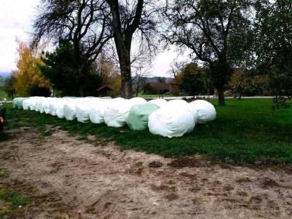 Silageballen/Siloballen - 3. & 4. Schnitt 2024